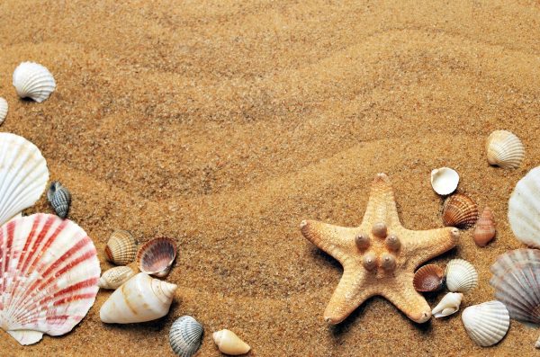 sable coquillage